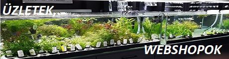1-1-1-1-1-1-2-2-2-2-2_uzletek_webshopok_fejlec.jpg